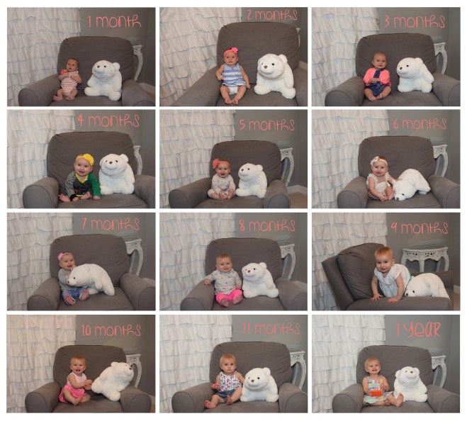 Baby Girl 1st Year Monthly Photo Collage