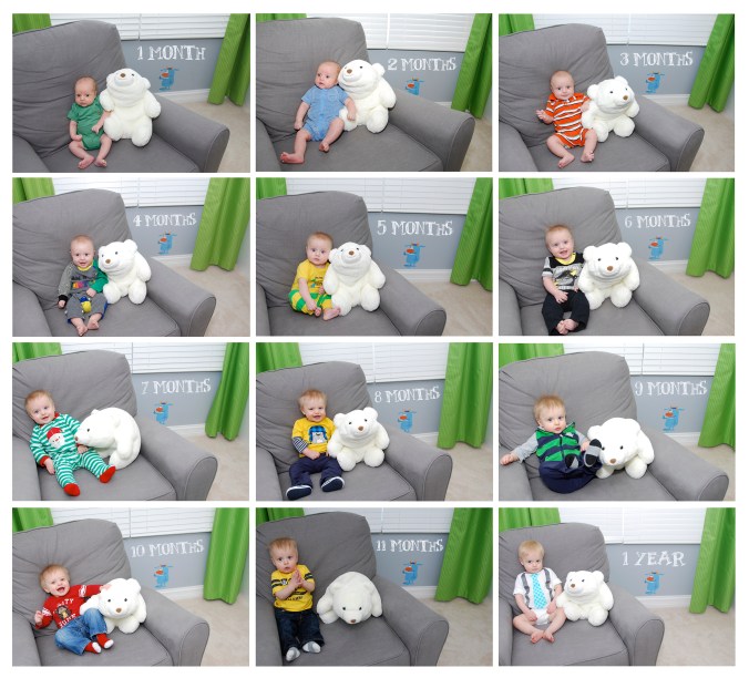 Baby 1st Year Monthly Photo Collage with Stuffed Animal