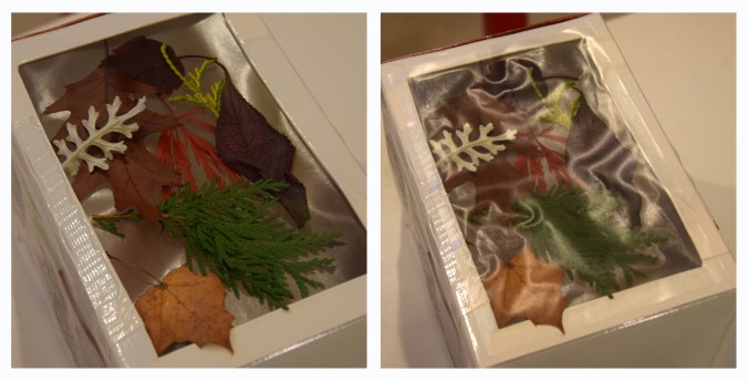 Fall Leaf Lantern - projectsinparenting.com